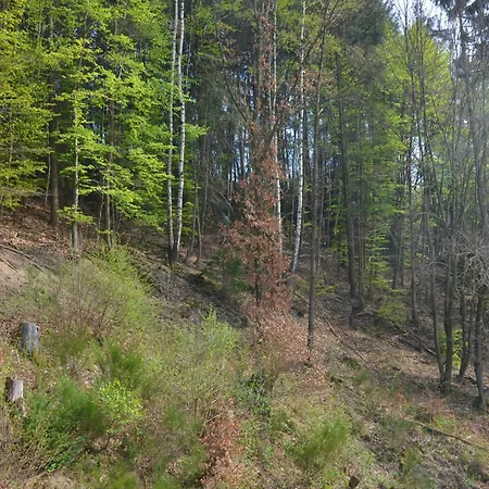 With Sauna In Liesen Hallenberg