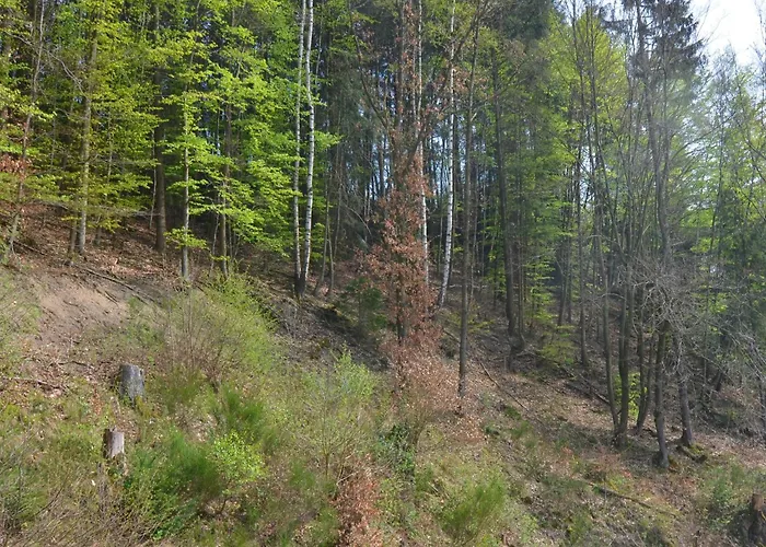 With Sauna In Liesen Hallenberg